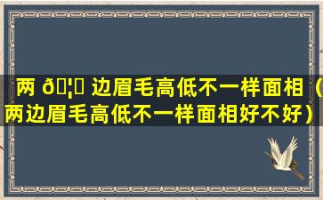 两 🦉 边眉毛高低不一样面相（两边眉毛高低不一样面相好不好）